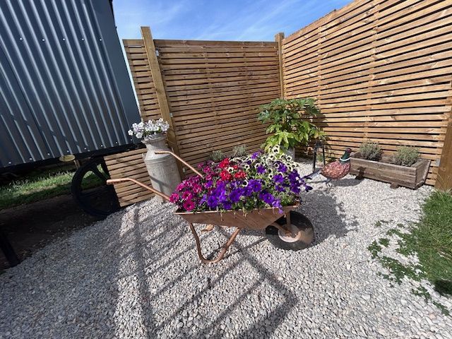 Patio with purple flowers in a pot, potted plant, stone birdbath, and wooden fence in sunlight