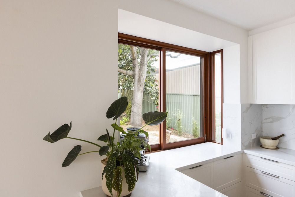 A Potted Plant Is Sitting On A Counter Next To A Window In A Kitchen — Matt Loder Constructions in Bulli, NSW