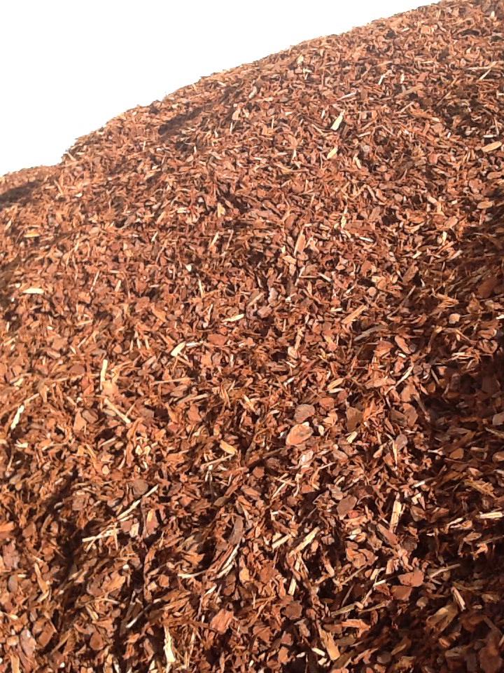 1 Inch Pine Bark
