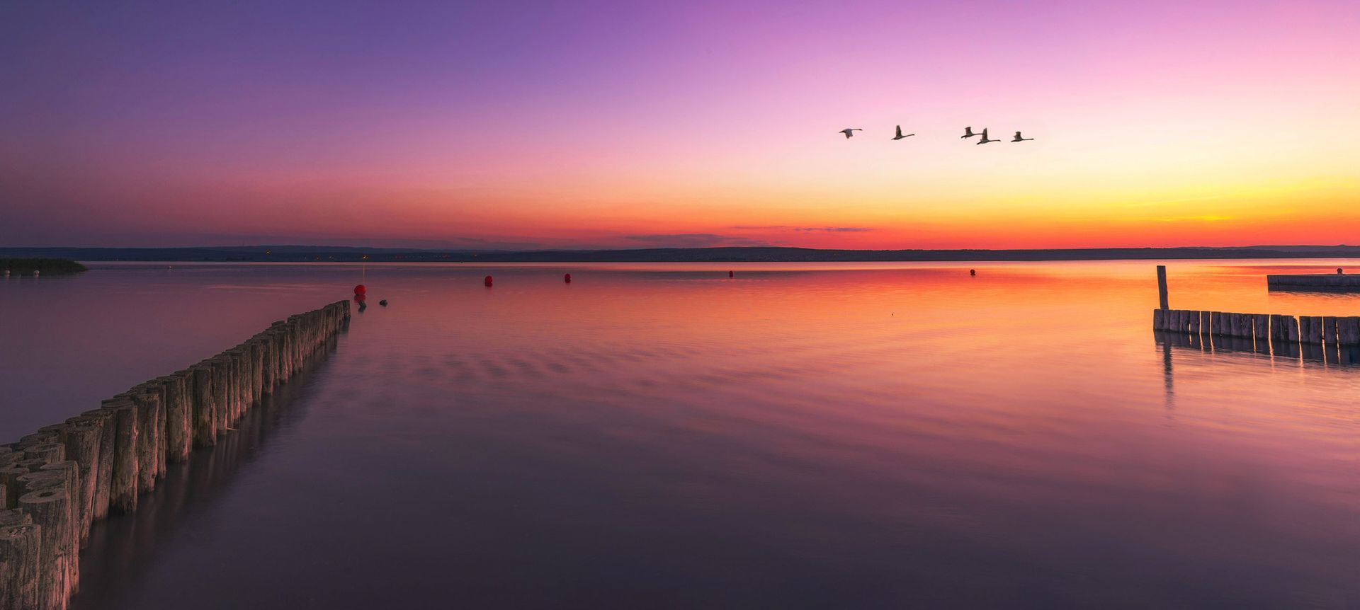 Sonnenuntergang am Neusiedlersee. Der Himmel ist violett/rot und spiegelt sich am See.