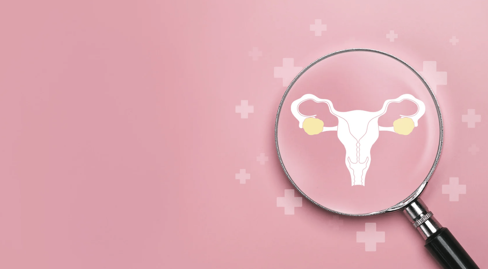 Ilustração médica em tons de rosa de um útero sob uma lupa, sobre um fundo rosa suave.
