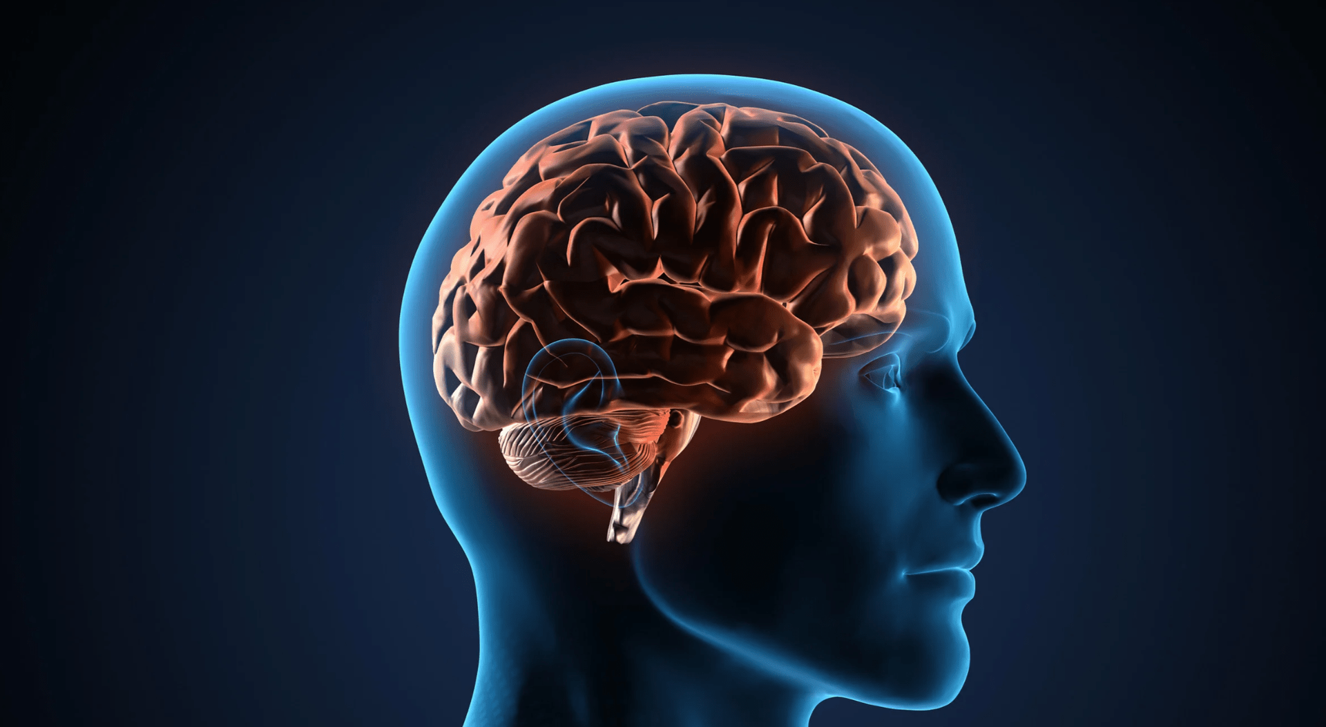 Perfil lateral de uma cabeça humana azul brilhante com um cérebro iluminado sobre um fundo escuro.