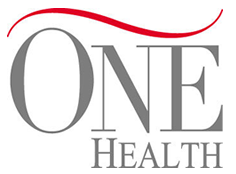 Logotipo da ONE Health em texto serifado cinza com um traço vermelho acima da palavra ONE.
