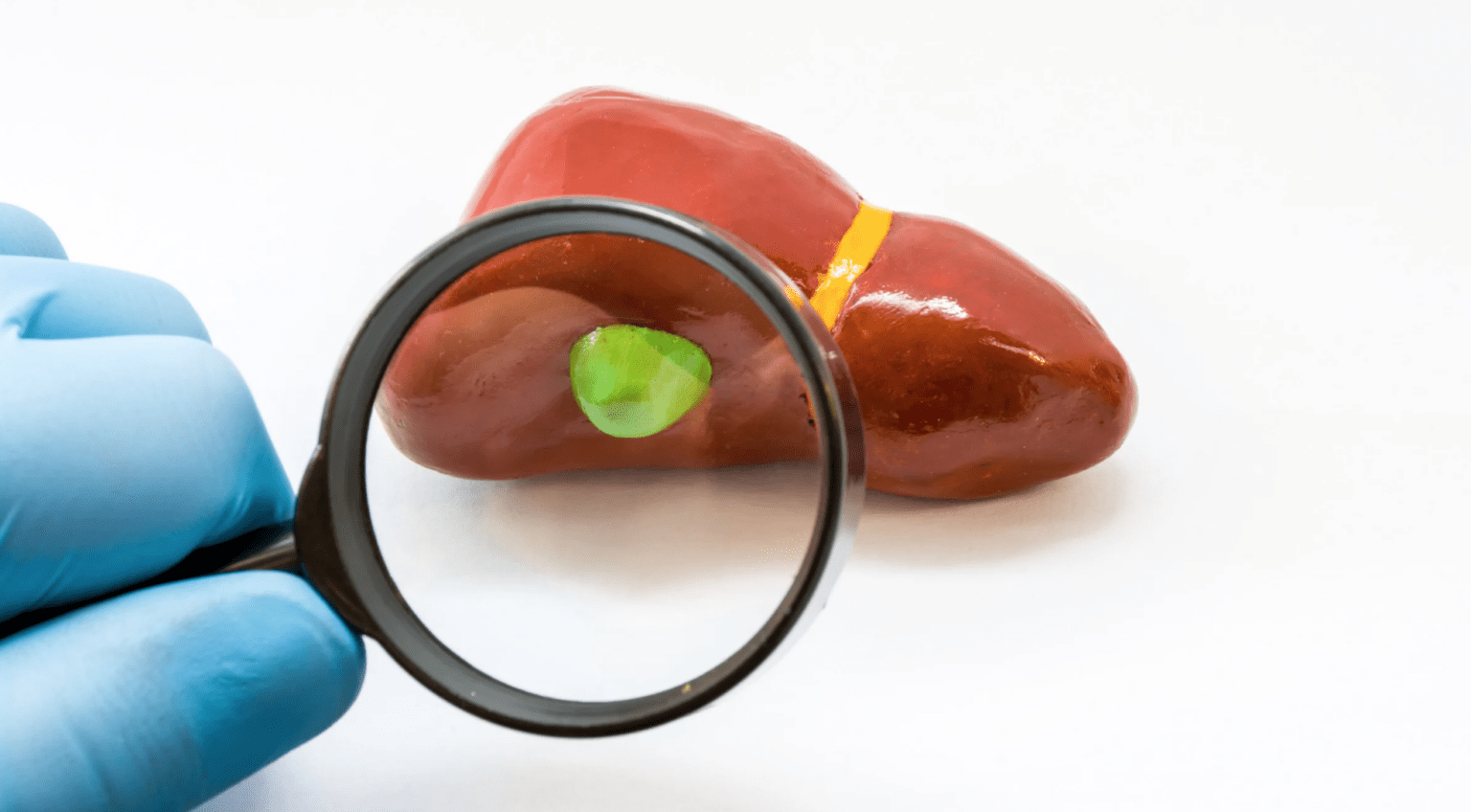 Gloved hand holding a magnifying glass over a brown liver with a green spot