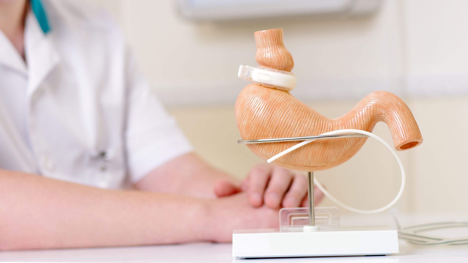 Modelo médico de pelve sobre uma mesa, ao lado de uma pessoa de jaleco branco com as mãos cruzadas 