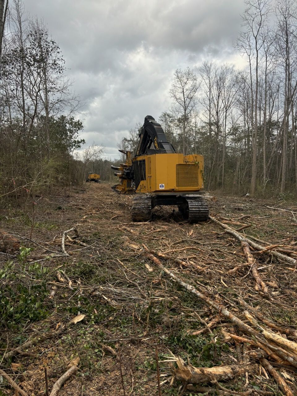 Yellow forestry machine clearing a wooded area under a cloudy sky