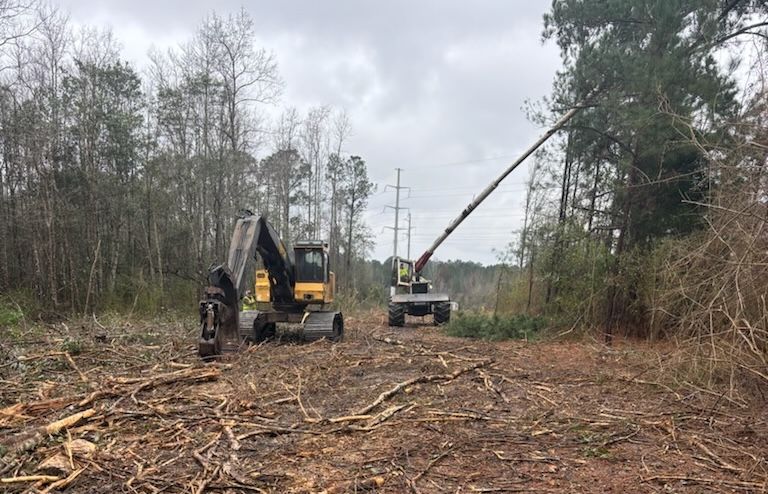 Two pieces of heavy machinery clearing a wooded dirt path, one with an extended boom near power lines.