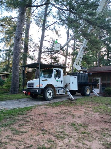 Mini excavator clearing debris beside a road in a wooded area