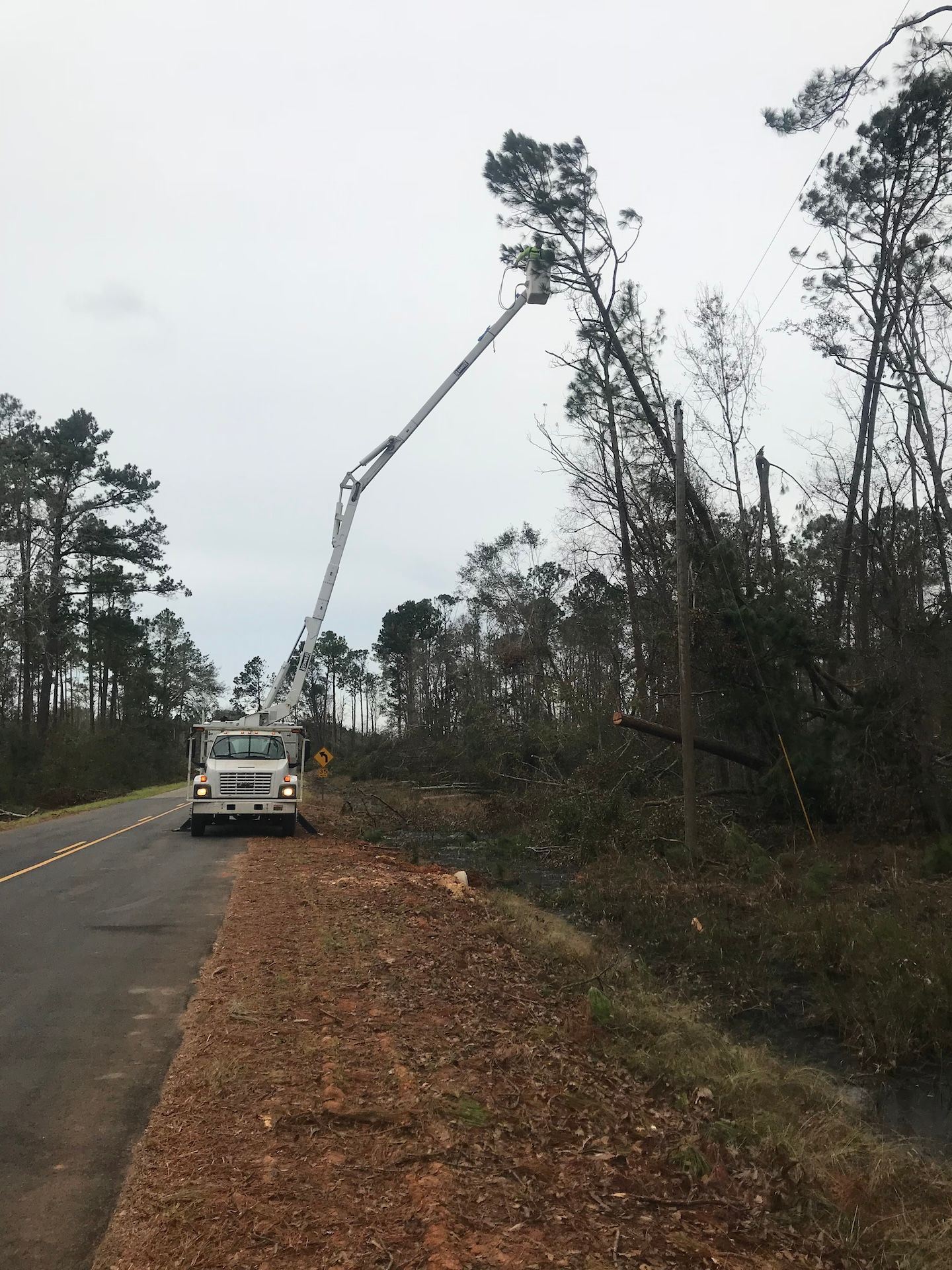 Utility truck with raised boom clearing trees along a roadside under cloudy skies
