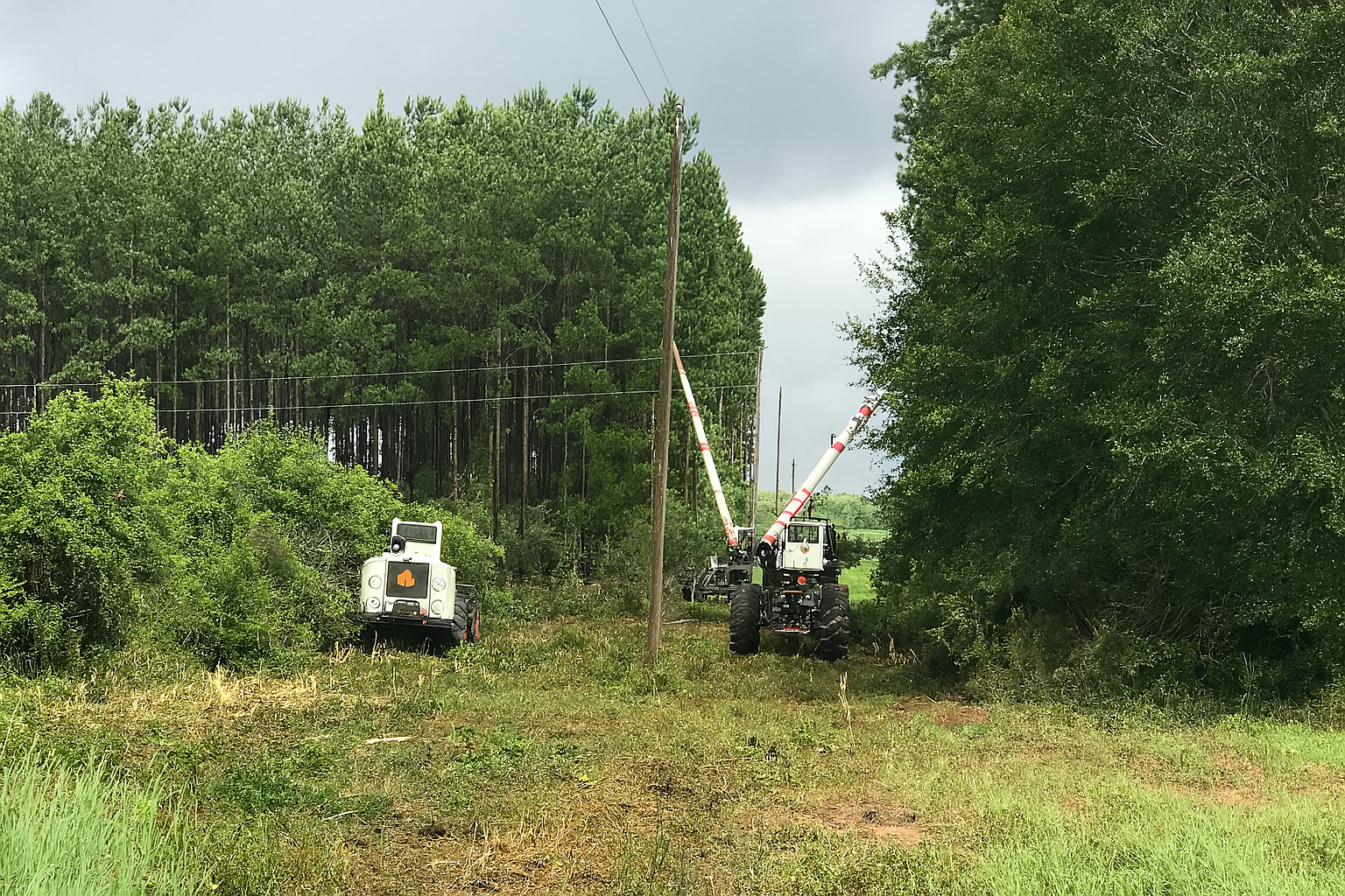 Two utility vehicles in a grassy clearing by tall trees, one lifting a pole near a wooded edge.