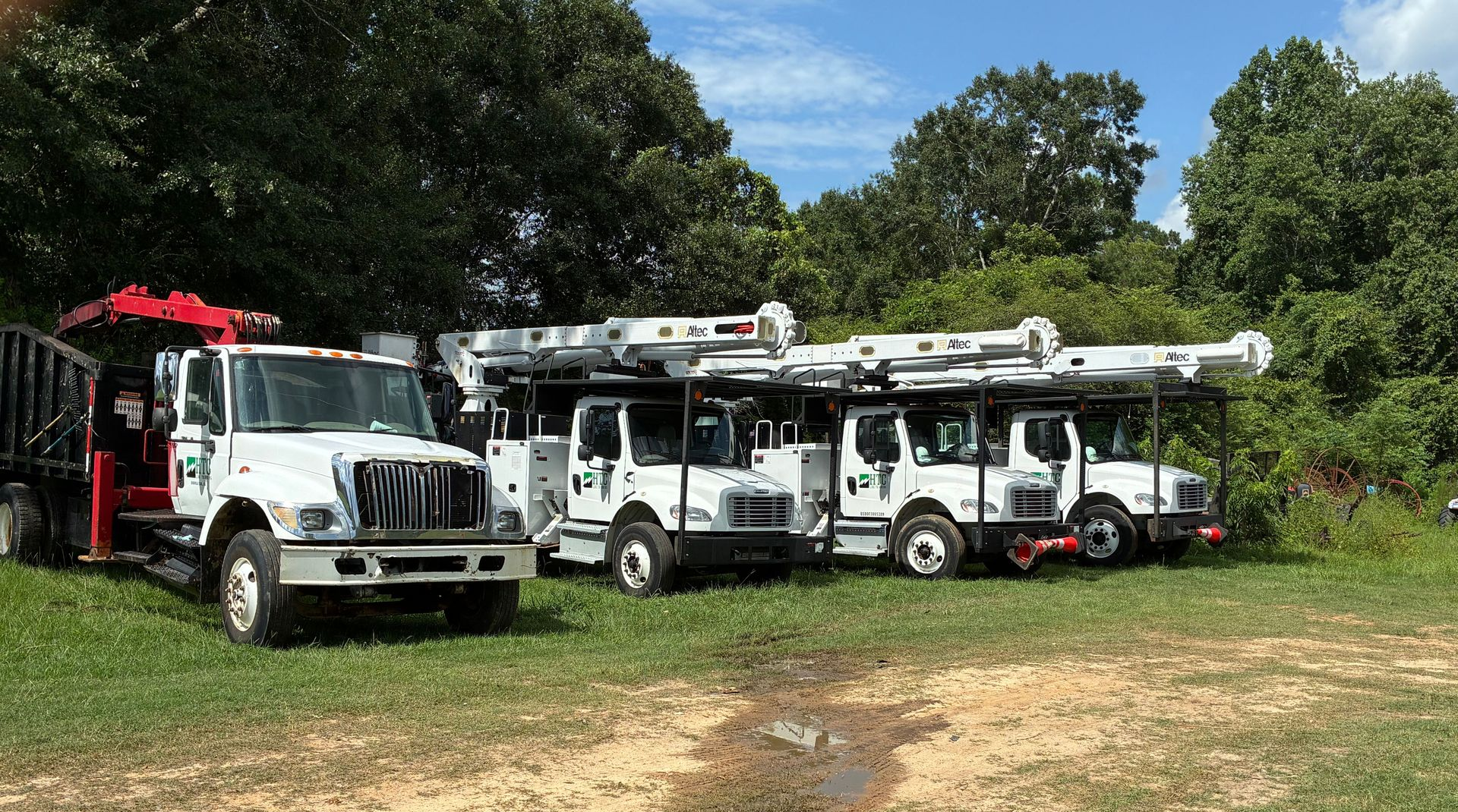 Utility truck with raised boom trimming a leafy tree along a street under a clear blue sky