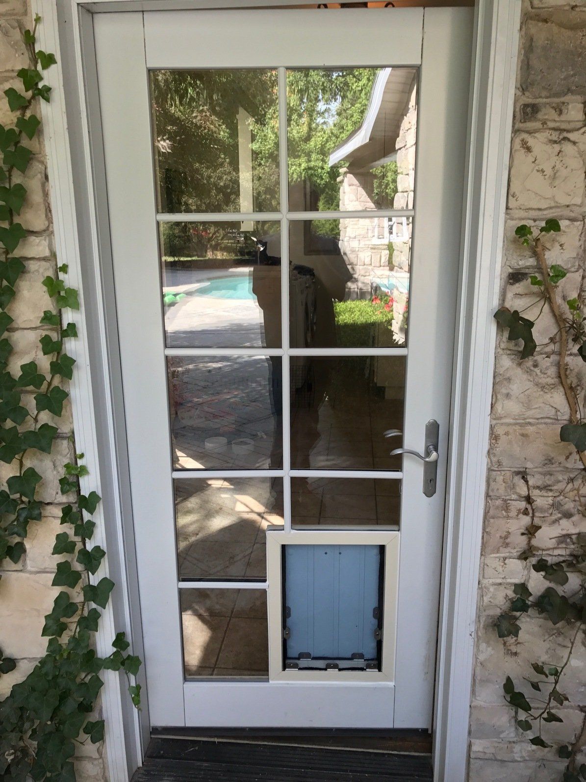 White paneled door with dog door, vines, and a pool visible through the glass.
