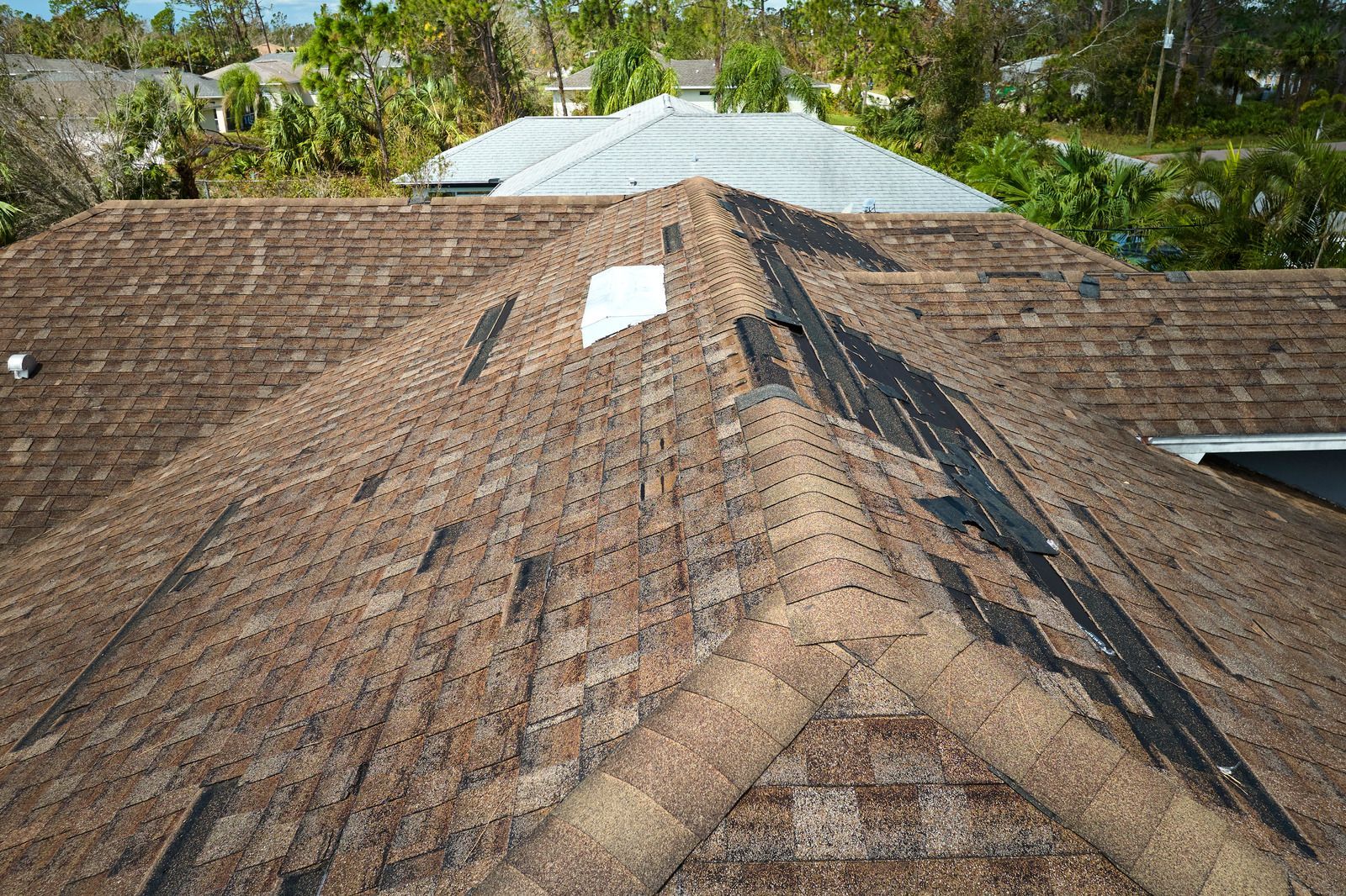 Rooftop with weathered brown shingles and a central ridge, backed by trees and a metal-roofed building.