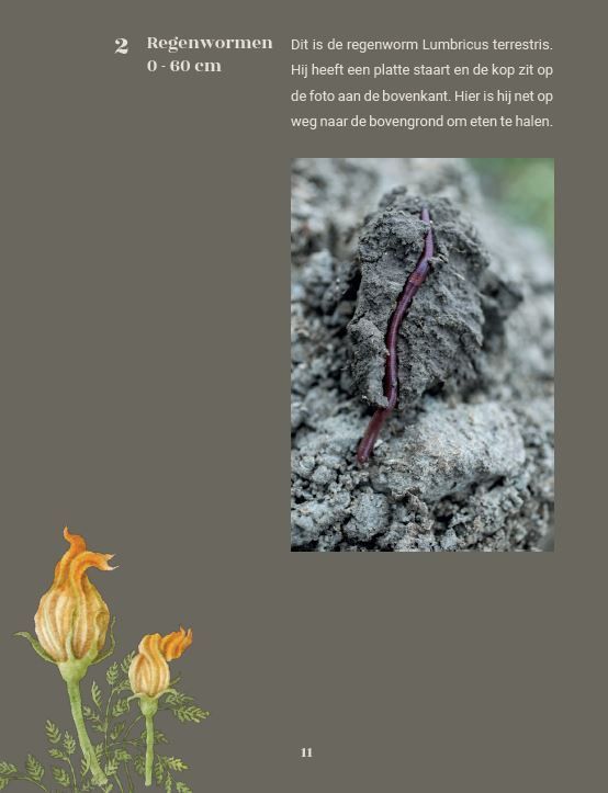 compost in china lang geleden