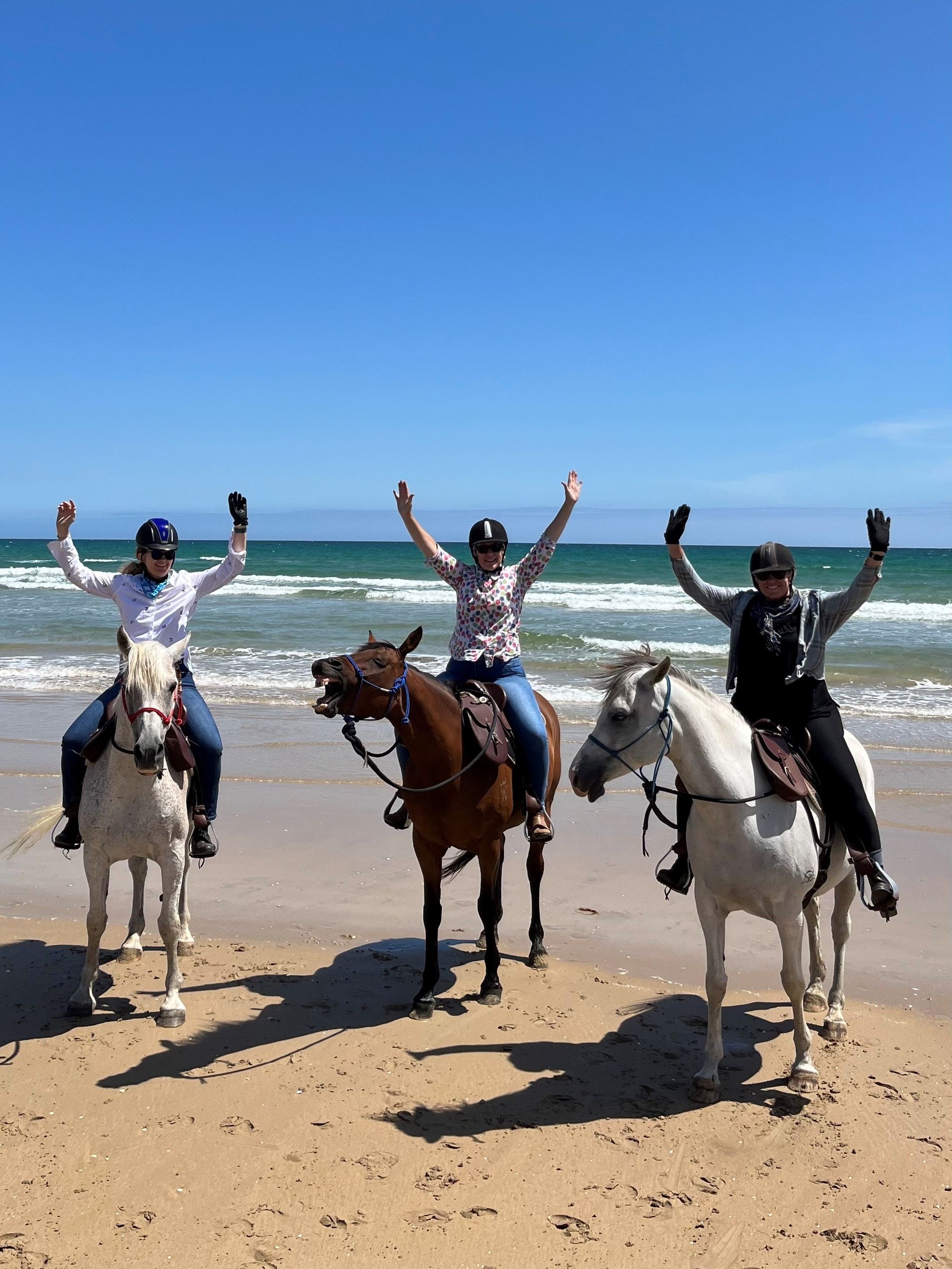 Our Rides | Australian Horse Adventures