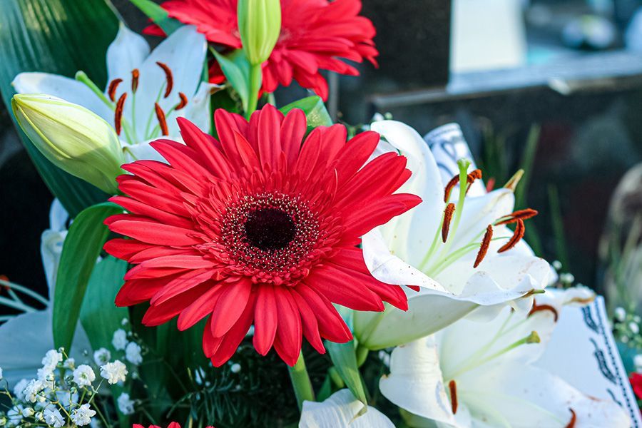Red gerbera daisy and white lilies in a floral arrangement, with greenery.