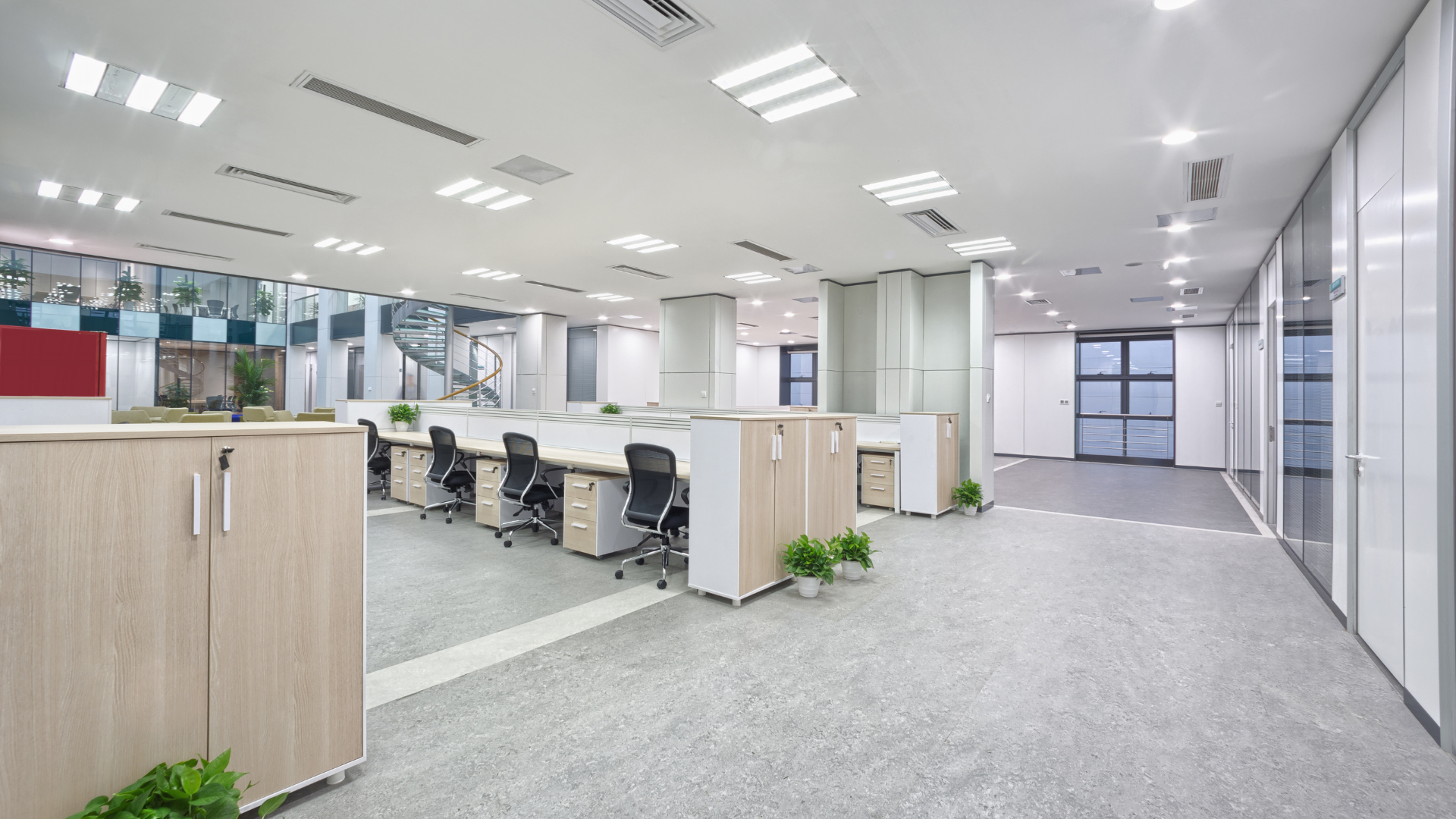 Bright open-plan office with desks, chairs, plants, and glass-walled rooms.
