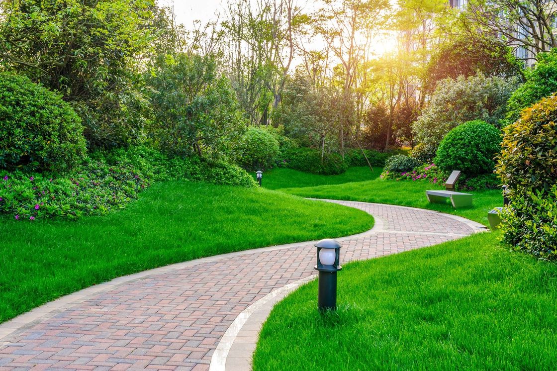 Lawn & Landscaping Experts