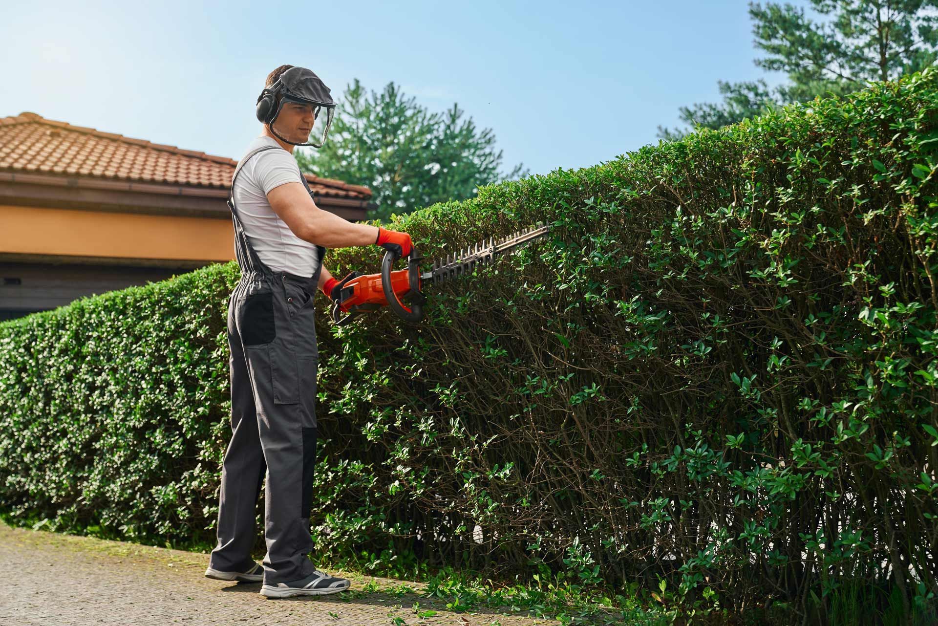 Bush and Hedge Trimming