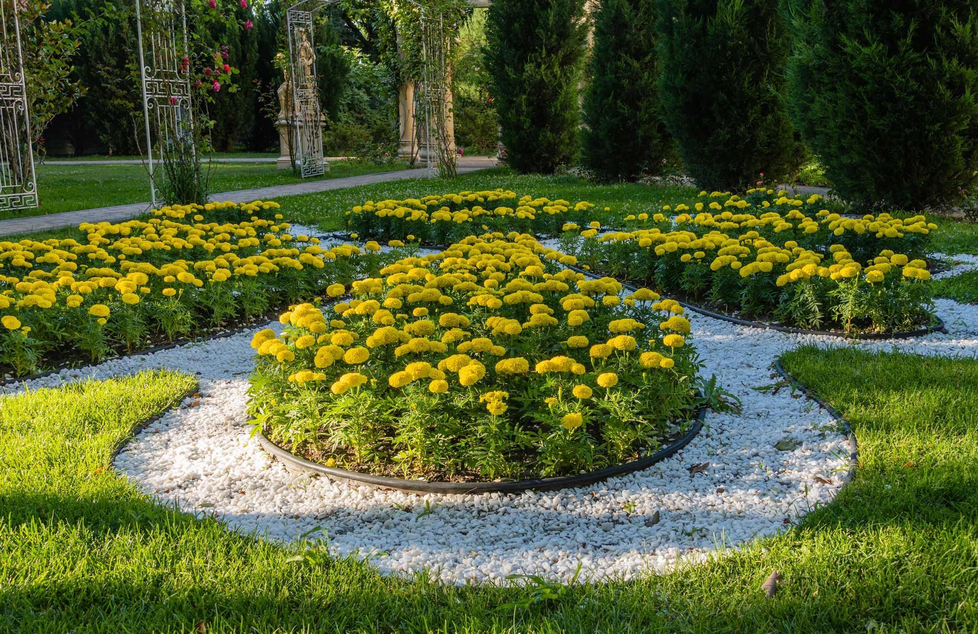 Soil Improvement & Fertilization