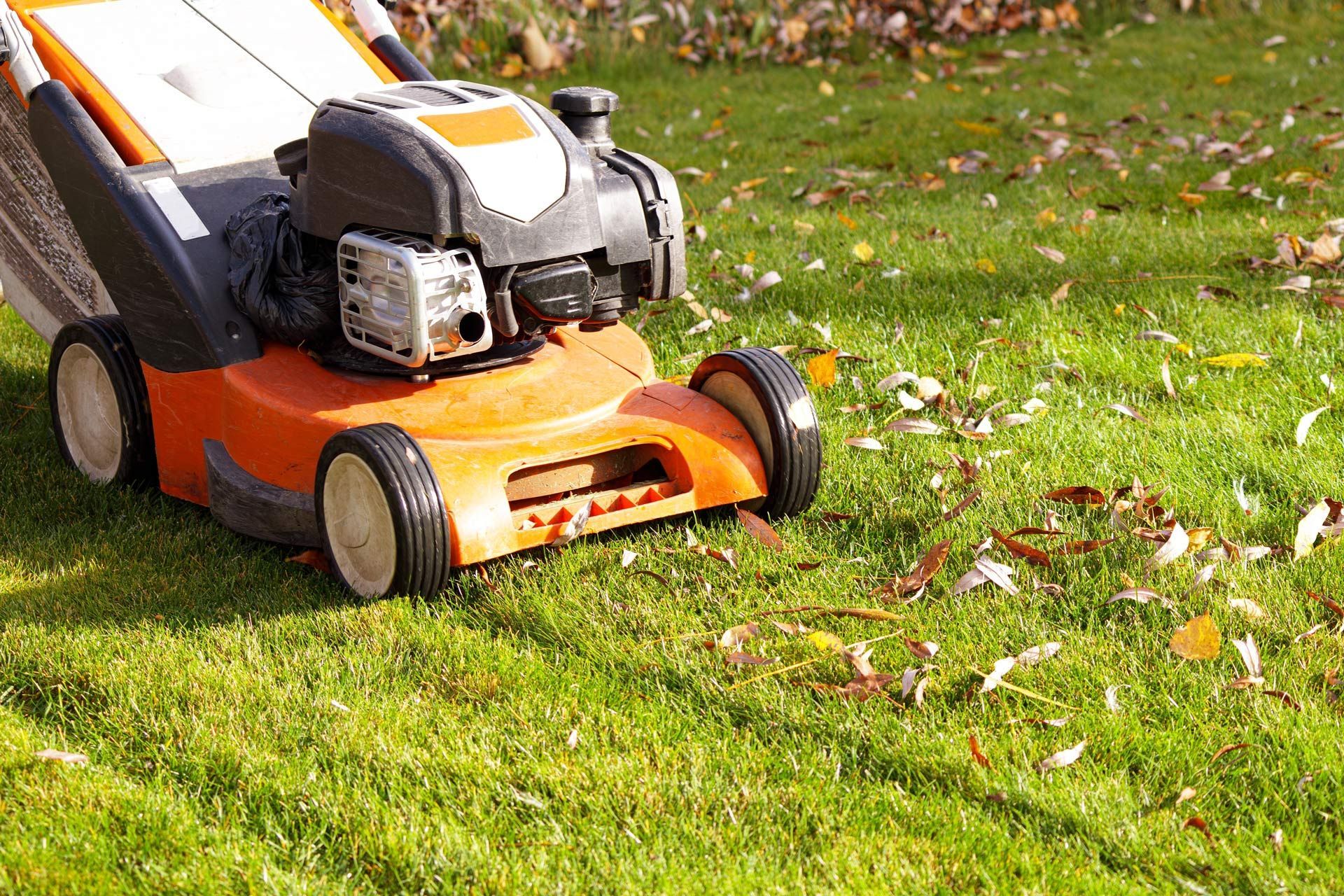 Lawn Care Maintenance