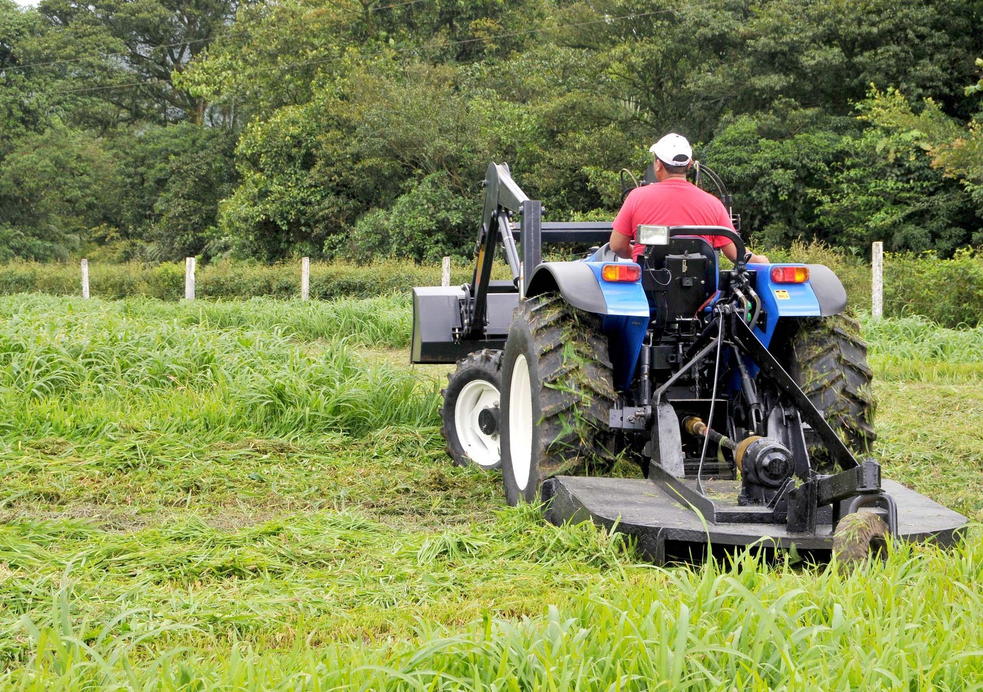 Brush Hogging Service