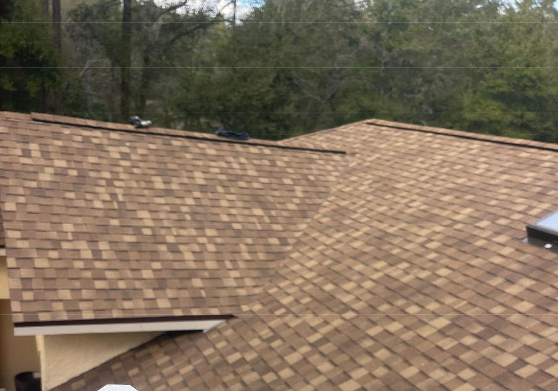 roofing services 41