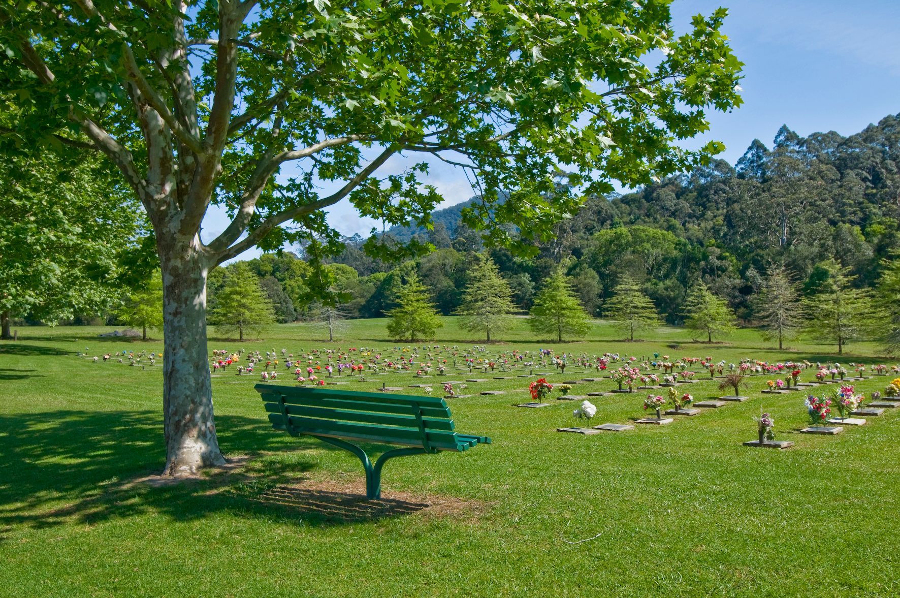 graveside graveside