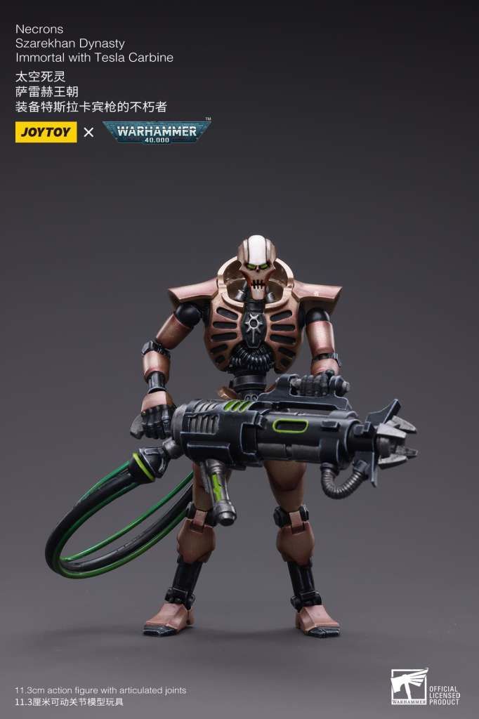 Warhammer 40k Necrons Szarekhan Dynasty lmmortal with Tesla Carbine 2x