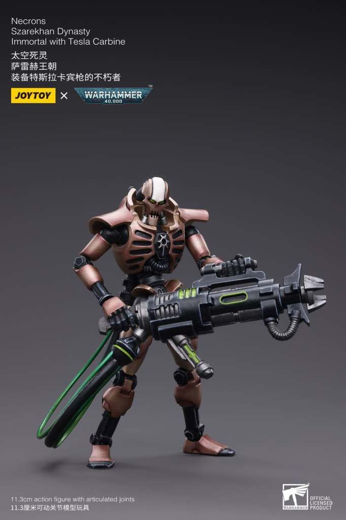 Warhammer 40k Necrons Szarekhan Dynasty lmmortal with Tesla Carbine 2x