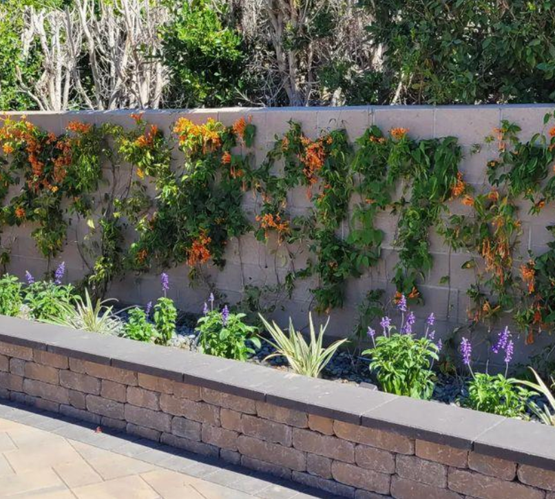 A brick wall with flowers growing on it