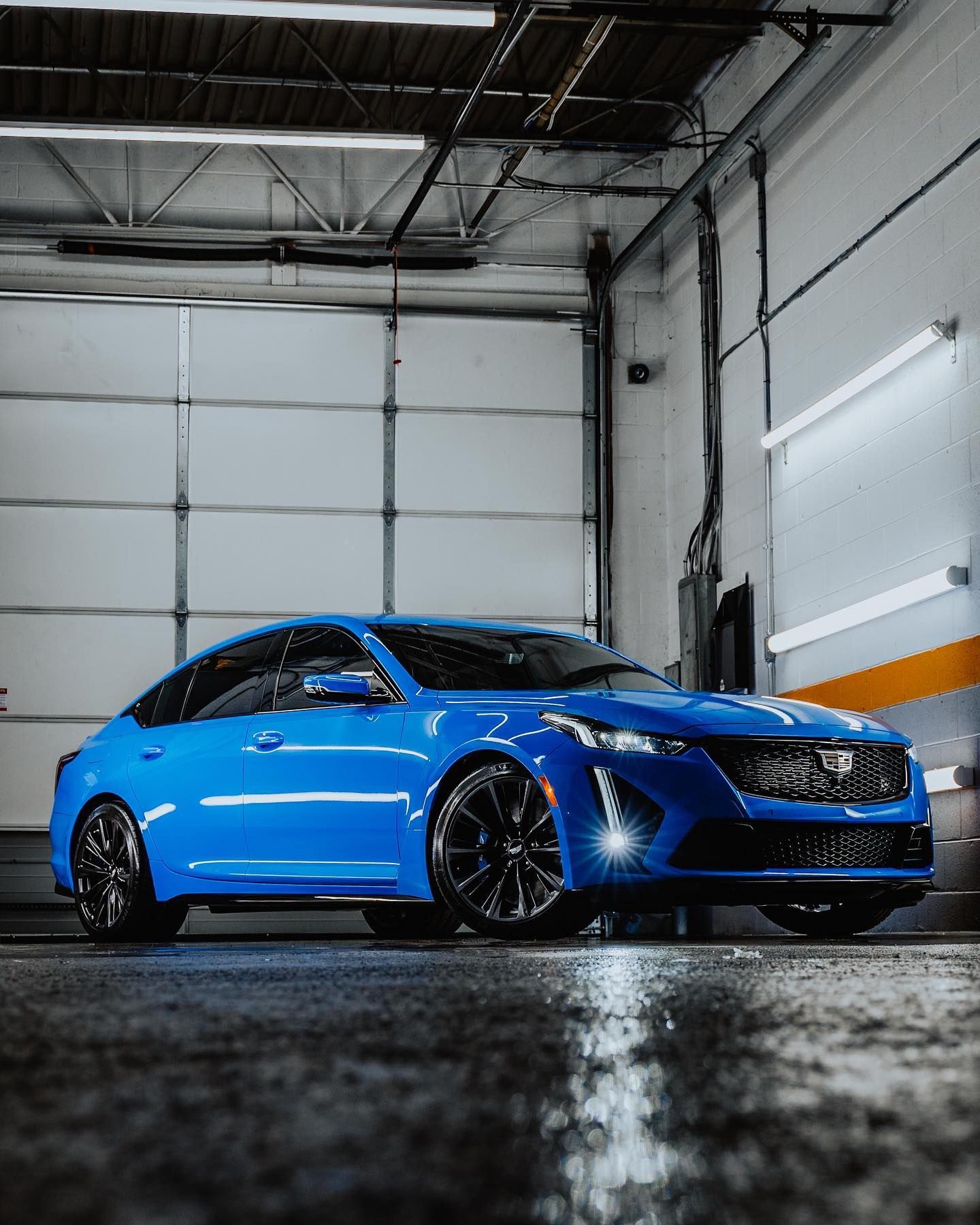Auto Window Tinting Services