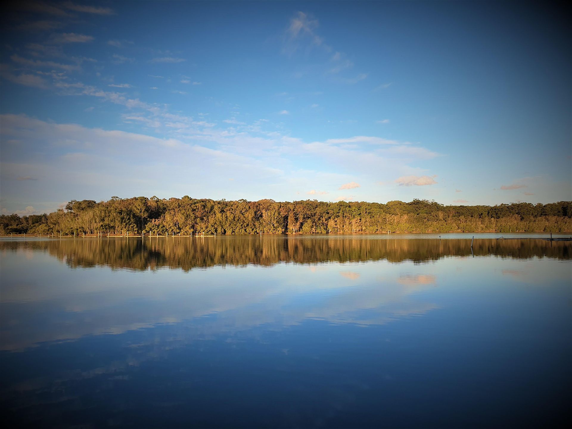 A Large Body of Water With Trees on the Shore and a Blue Sky in the Background — HI PSI Hydraulics in Laurieton, NSW