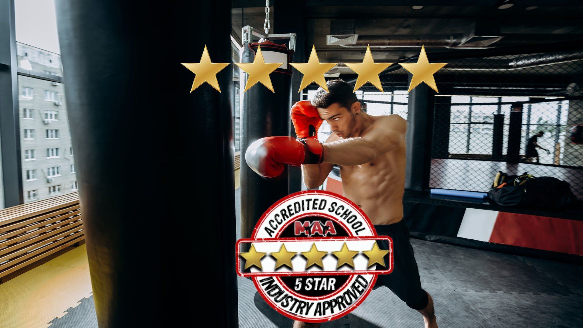 Inside a professional martial arts gym