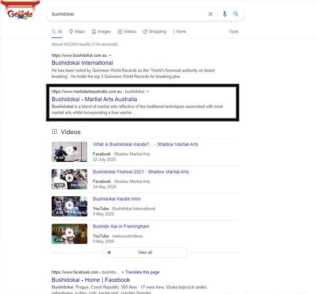 A screenshot of a google search for buddhist martial arts australia.