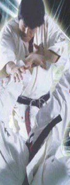 Portrait of martial artist Dino Kardas