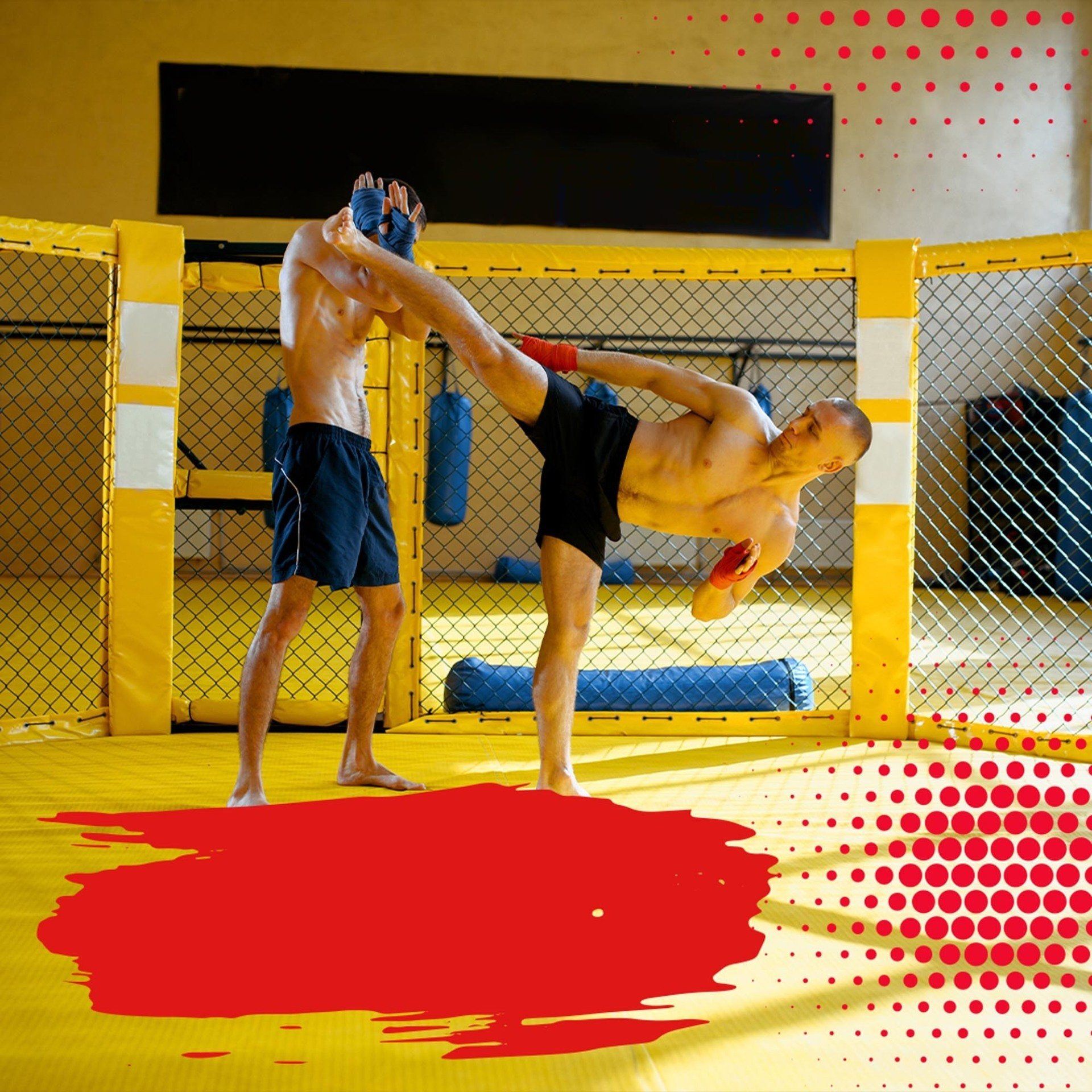 Martial Arts Australia MMA club promotional banner