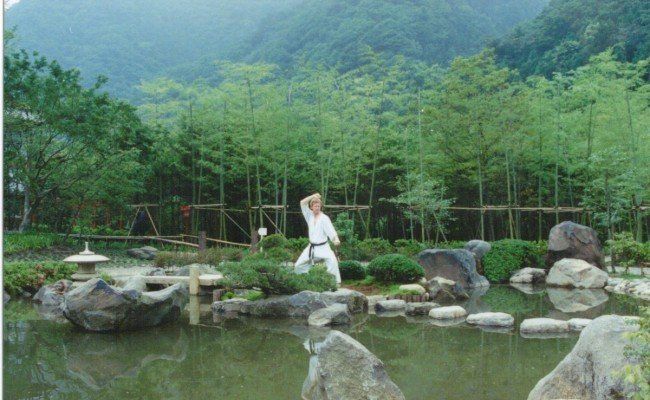 A man is practicing karate in a park next to a pond.