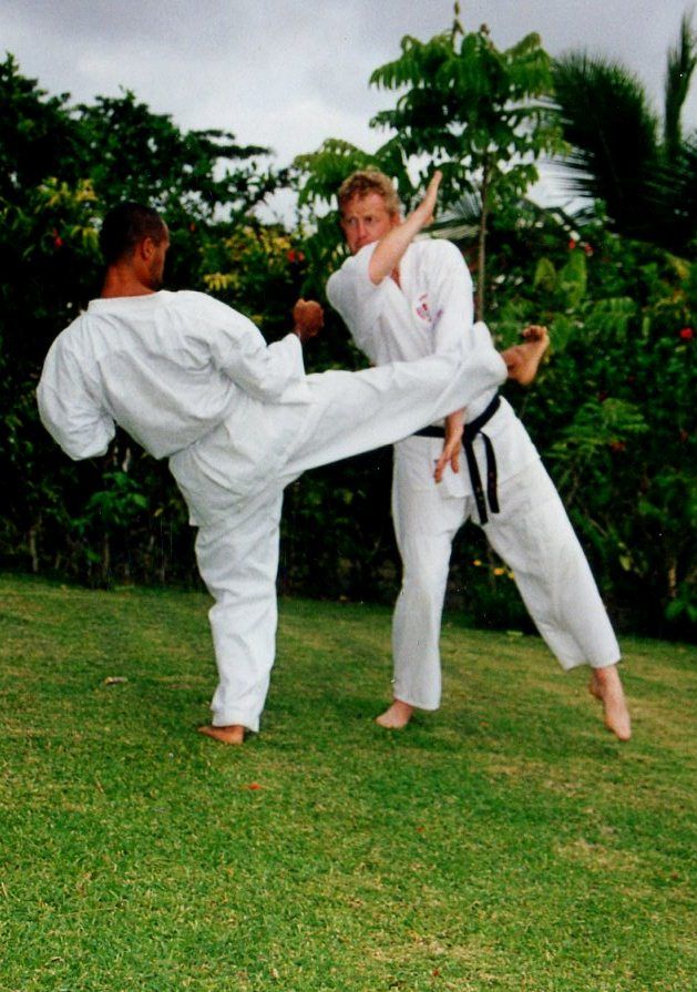 Traditional martial arts pose or kata