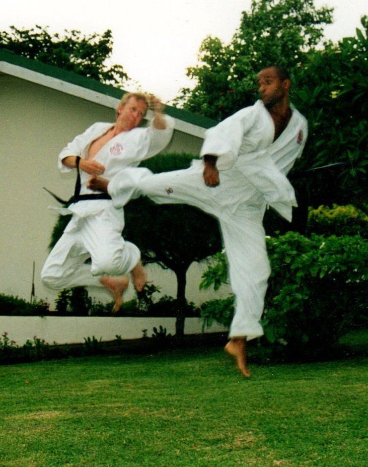 Martial artist performing a high kick