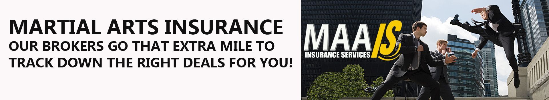 An advertisement for martial arts insurance with a picture of people