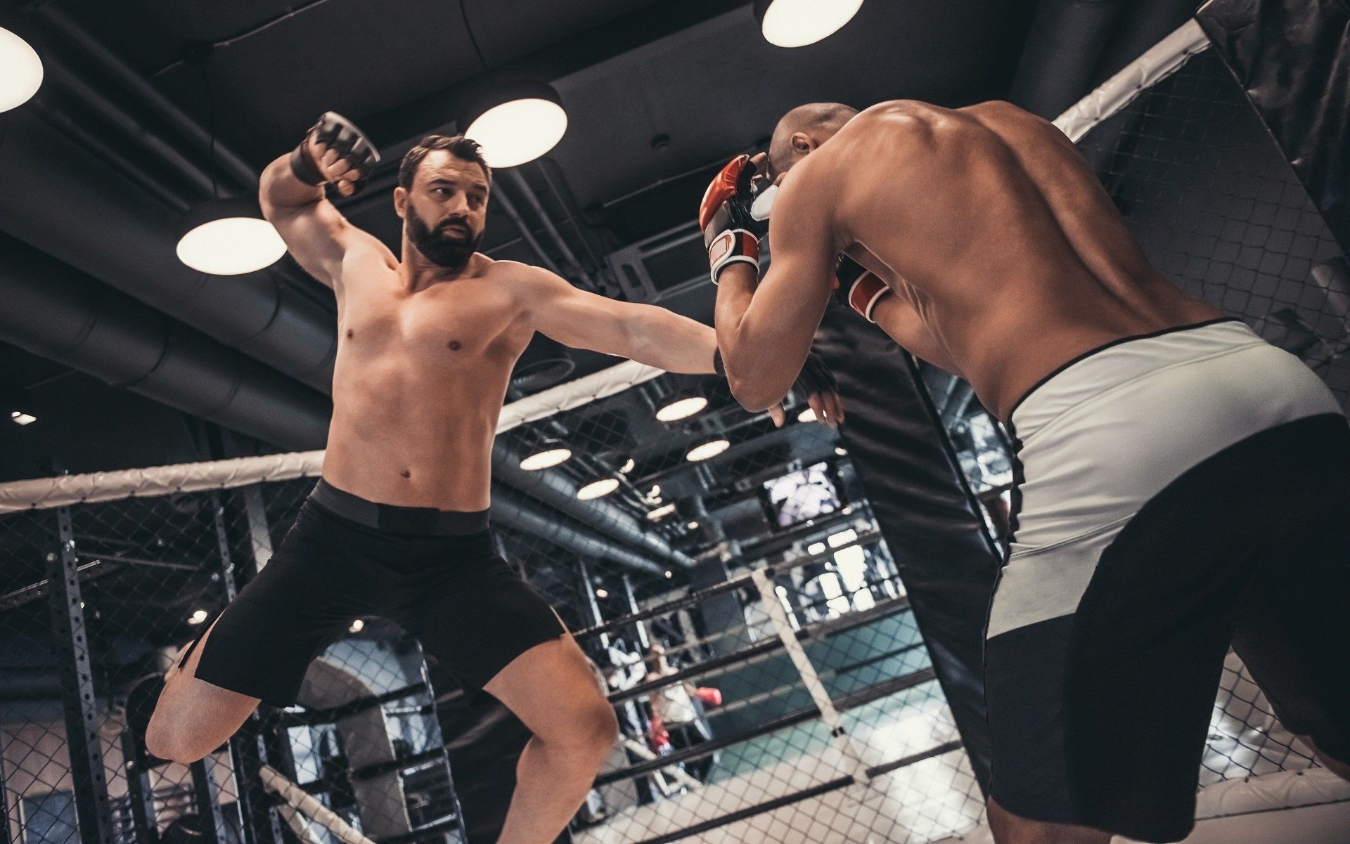 Martial arts and combat sports insurance