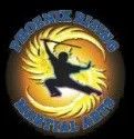 phoenix-martial-arts.jpg