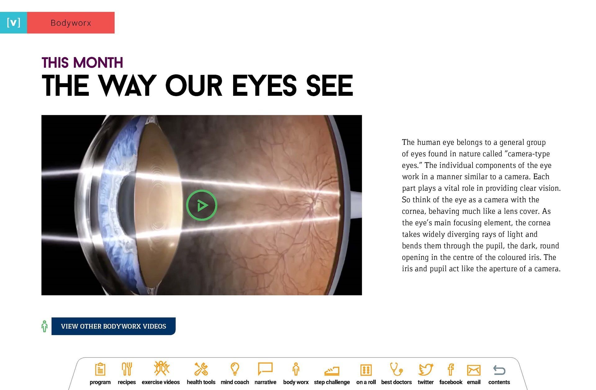 A picture of a human eye with the words `` the way our eyes see '' on it.
