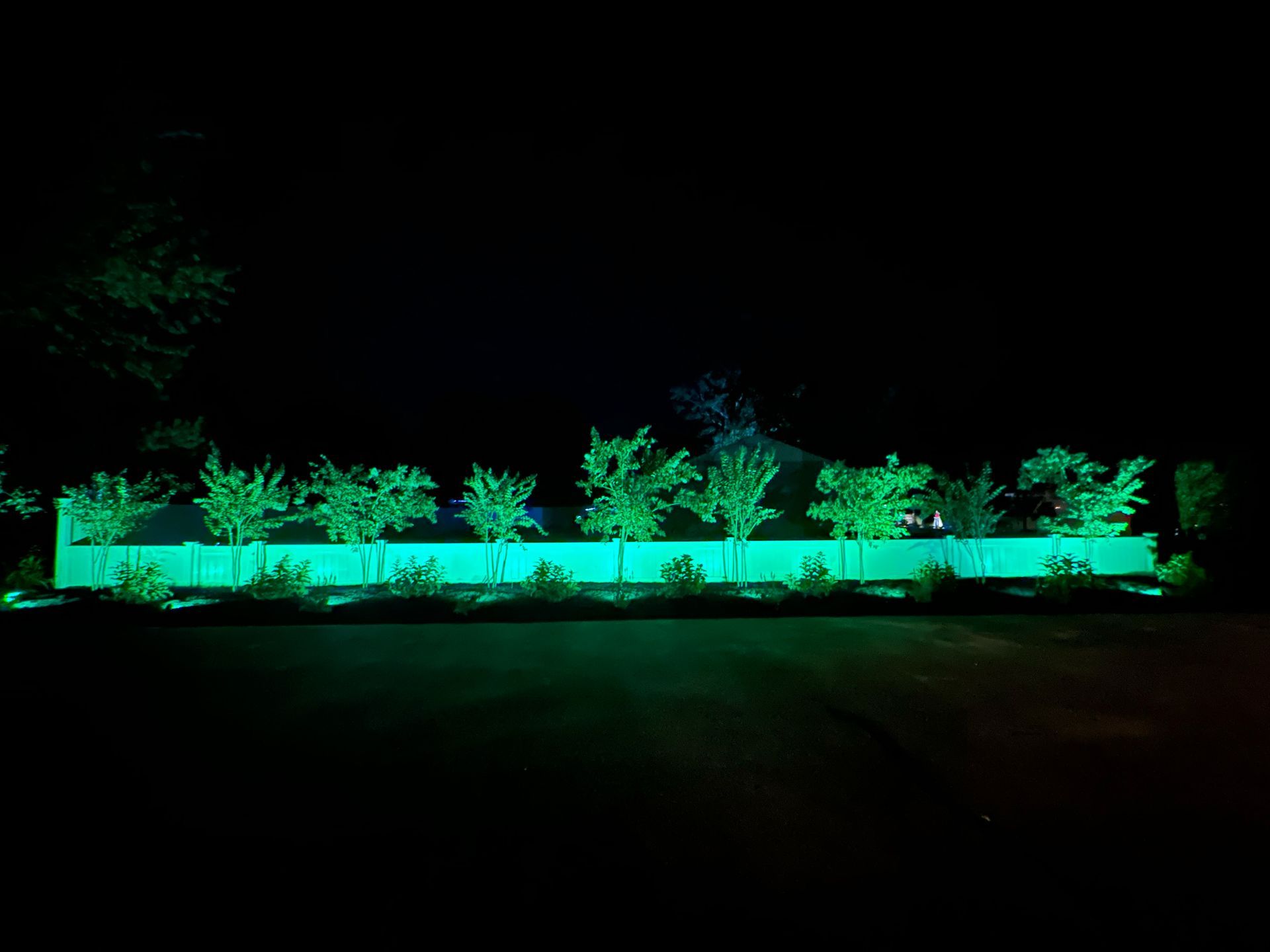 A fence is lit up with green lights at night.