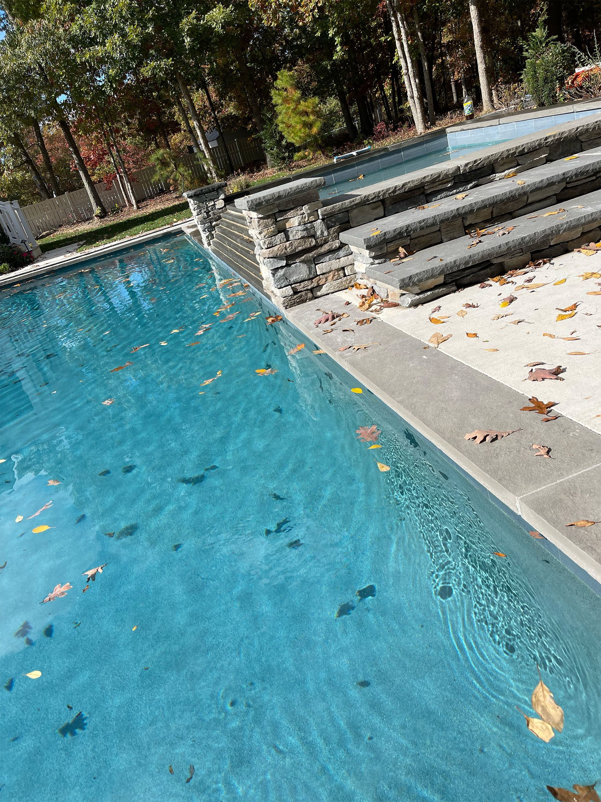 A large swimming pool with stairs leading up to it surrounded by trees and leaves.