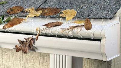 Leaf Protection