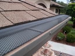 Leaf Protection Repair