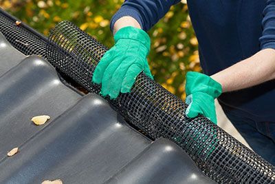Leaf Protection Installation