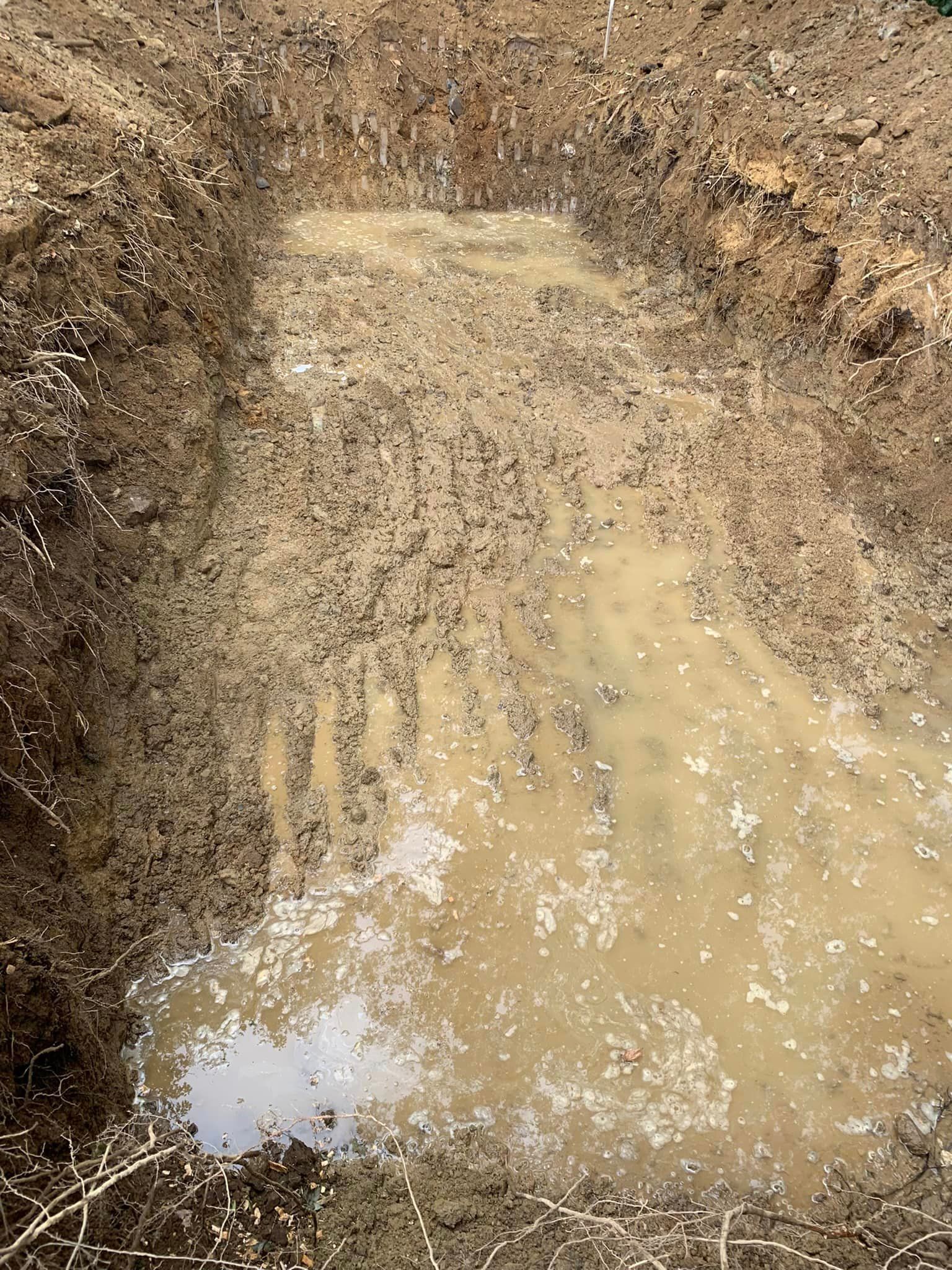A puddle of groundwater from septic site that has high water table.